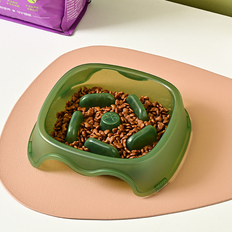The Essential Anti Choking Pet Slow Feeding Water Bowl