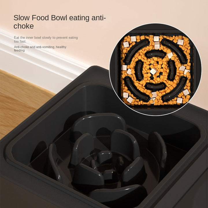Elevate Your Pet's Dining Experience with Our Adjustable Height Stainless Steel Double Pet Bowl Elevated Feeder