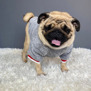 Warm Pet Sweater Clothing For Everyday Comfort