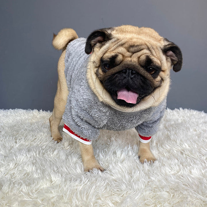 Warm Pet Sweater Clothing For Everyday Comfort