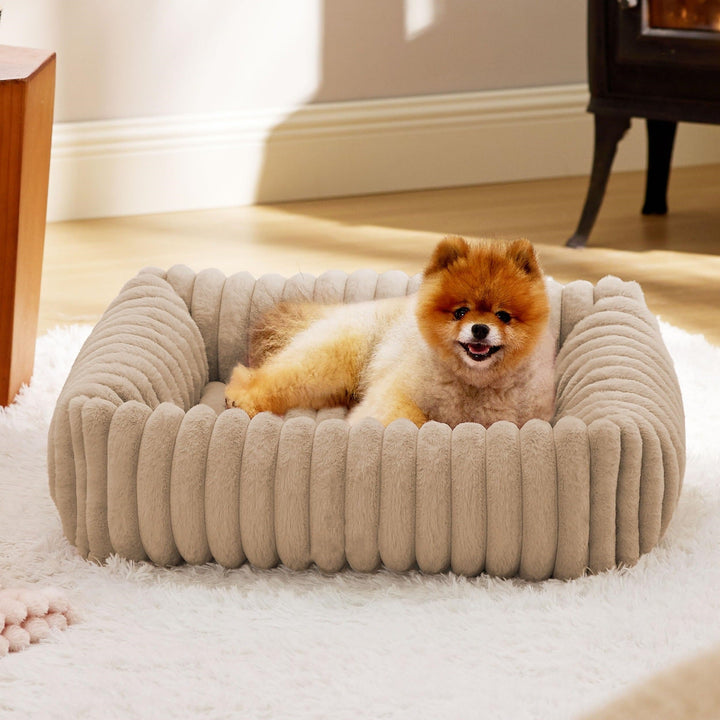 The Perfect Haven for Your Furry Friend