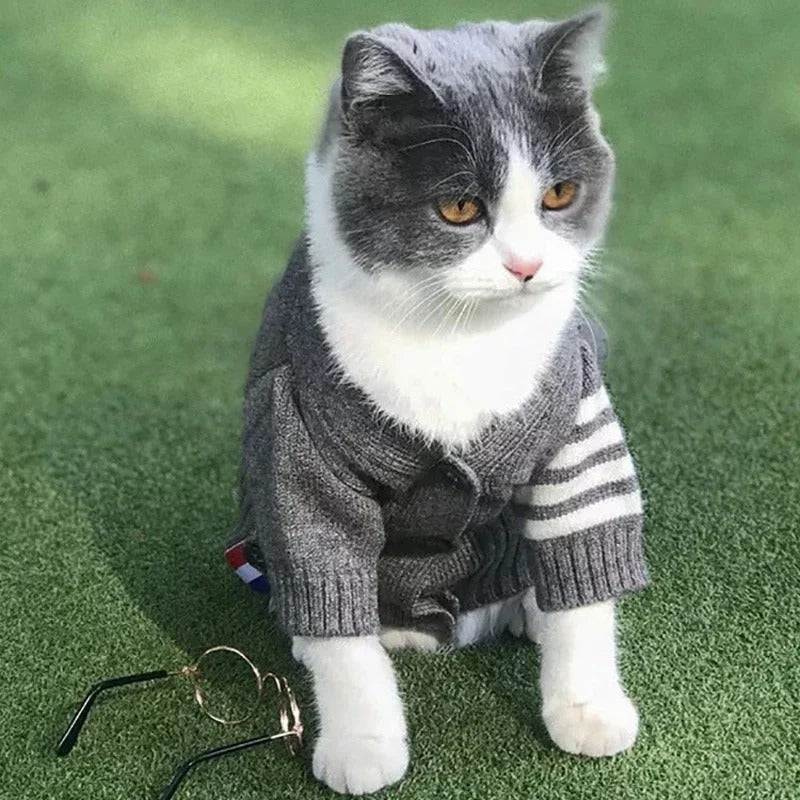 Elevate Your Pet's Style with Our Cozy Cardigan Sweater